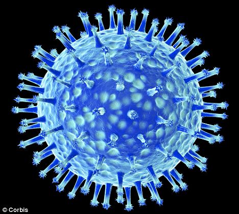 Focolai di Influenza Aviaria da sottotipo H5N1: informazione e indicazioni.